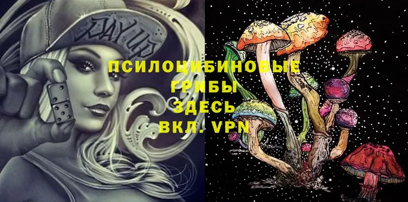 хочу наркоту  Уфа  Псилоцибиновые грибы Psilocybine cubensis 